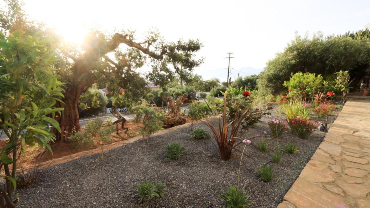 Comfortable Apartment With Garden - Casa Con Vista Havania ภายนอก รูปภาพ