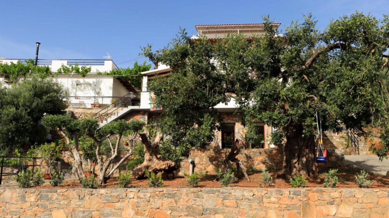 Comfortable Apartment With Garden - Casa Con Vista Havania ภายนอก รูปภาพ